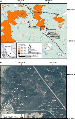 A Disrupted Historical Fire Regime in Central British Columbia